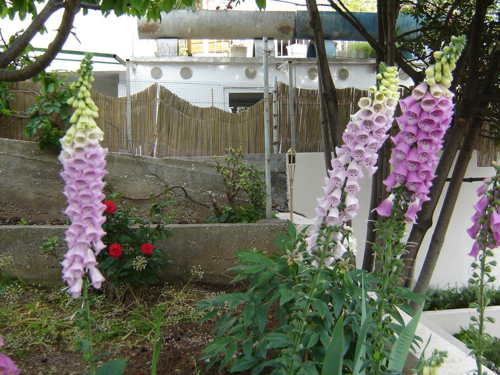 Apartmani Luna Hvar Town Rom bilde