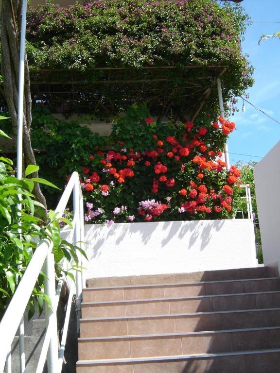 Apartmani Luna Hvar Town Eksteriør bilde