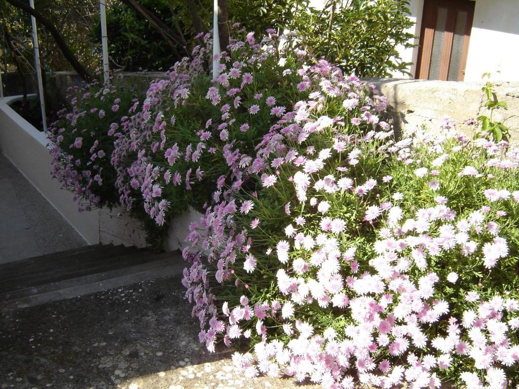 Apartmani Luna Hvar Town Rom bilde