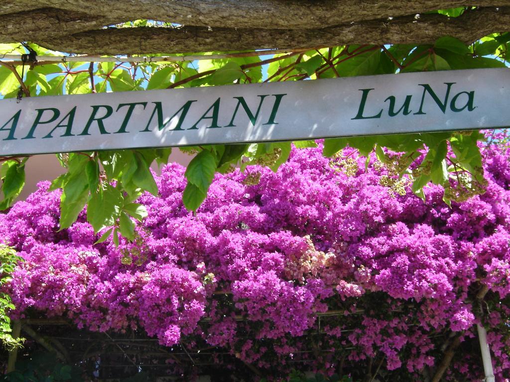 Apartmani Luna Hvar Town Eksteriør bilde